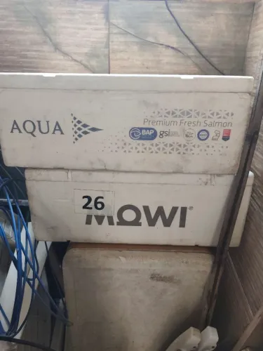 Caixa de isopor