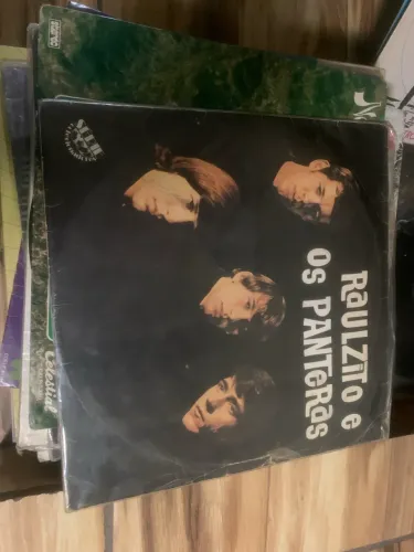 Vinil Raulzito e os Panteras