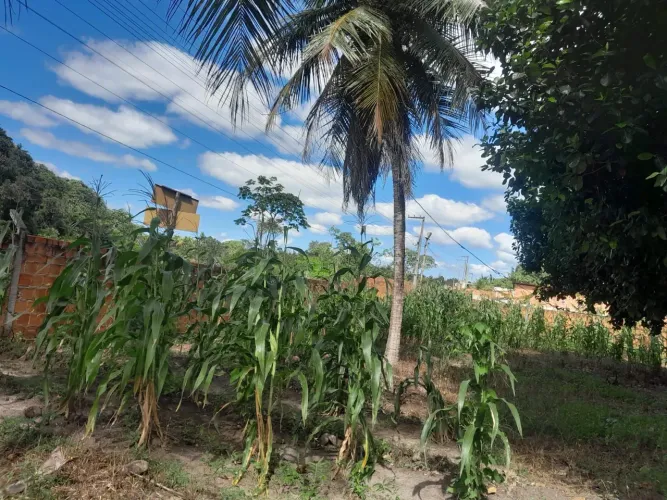 VENDO LOTE - POVOADO ESTREITO | CAPELA/SE <br>