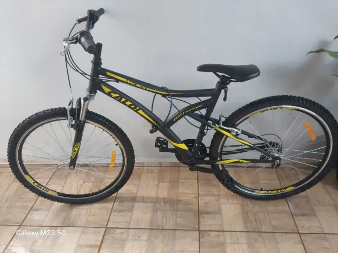 Bicicleta 