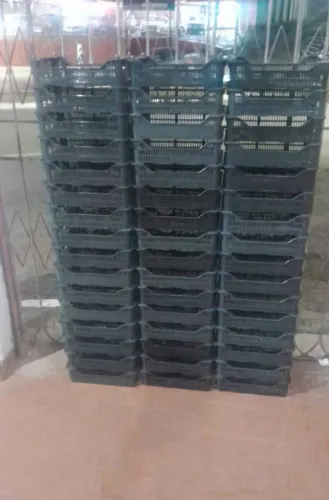 Vendo 75 caixas organizadoras 33cmX23cm novas entrego 