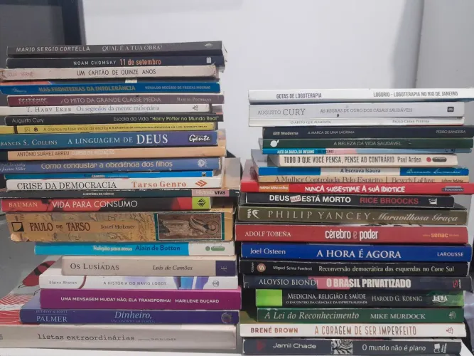 Segundo Lote com +40 Livros Diversos