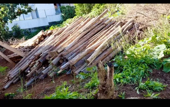 Estacas eucaliptos ( construção)