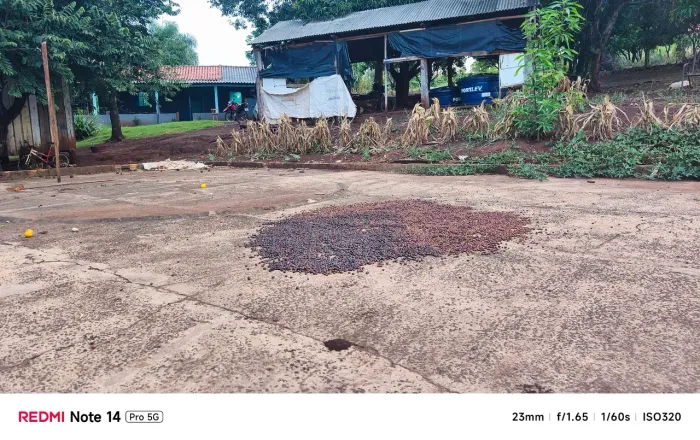 Sítio no assentamento dom Helder camara, são Jerônimo da serra PR