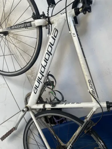 Bicicleta speed aro 29 Endorphine