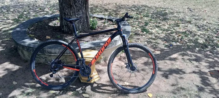 Bicicleta Aro 29