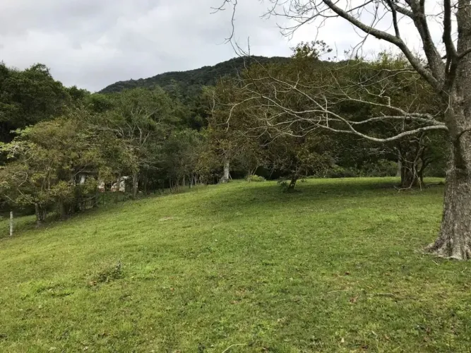 Lote/Terreno para venda com 11500 metros quadrados em Vargem Grande - Florianópolis - Sant
