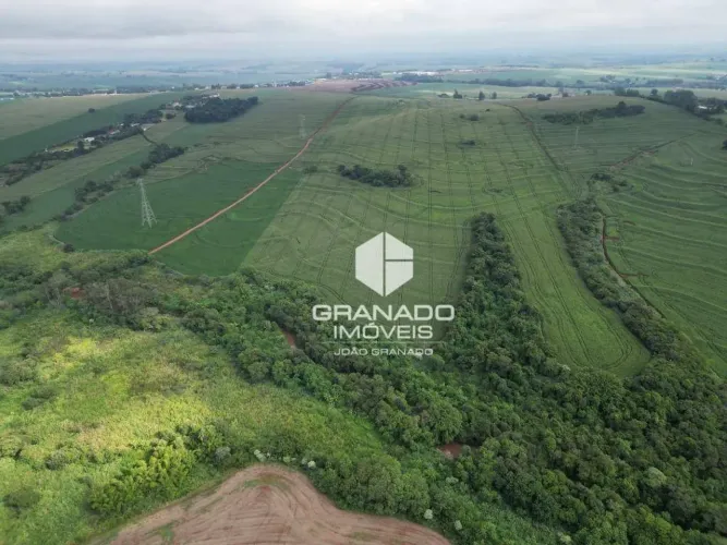 Área à venda, 193600 m² por R$ 9.180.000,00 - Ribeirão Morangueiro - Maringá/PR