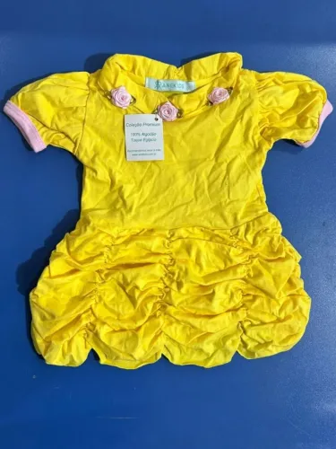 Vestidos Das Princesas Disney