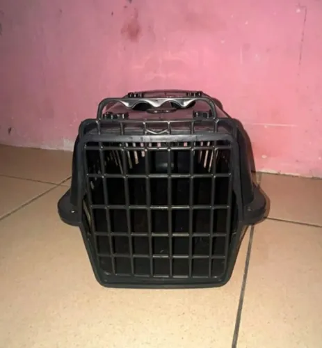 Super promoção transporte para pet