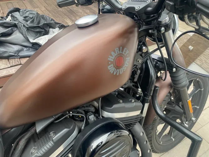 HARLEY DAVIDSON XL883N Iron 