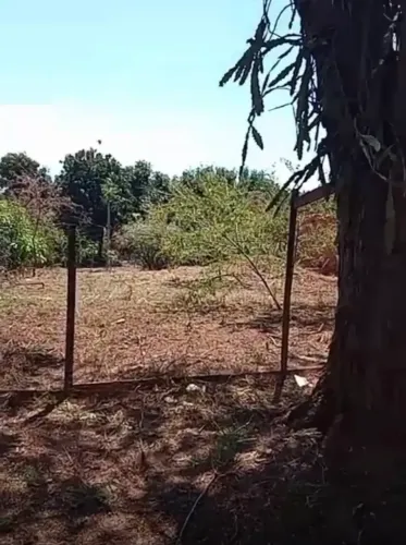 Vendo Terreno de 600 metros em Lobato Paraná