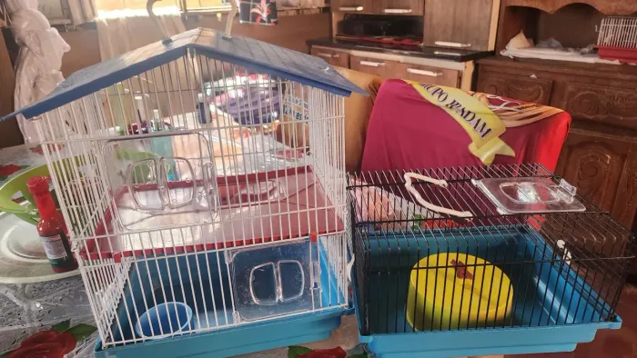 2 gaiola semi nova por 100