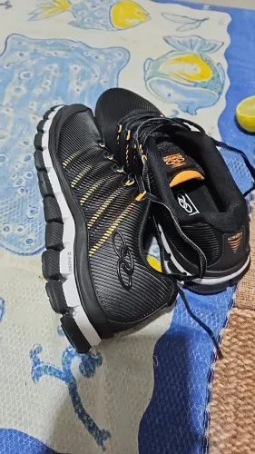 Tenis