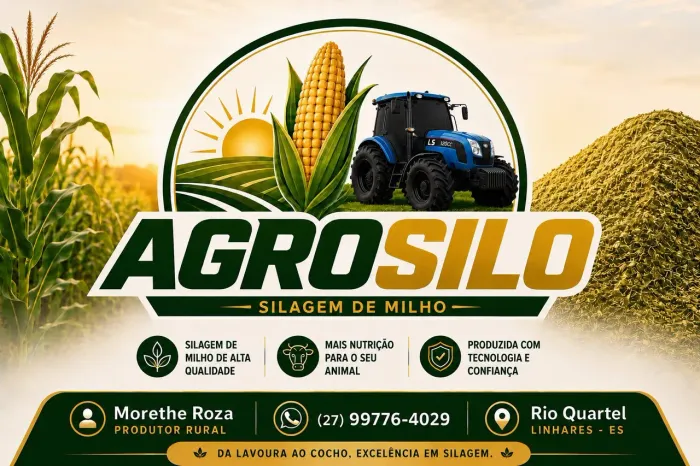 Silagem de milho, grão total