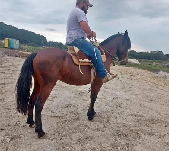 Criolo sem doc