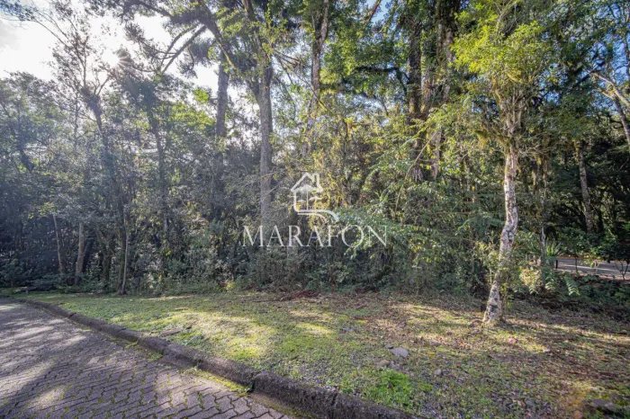 TERRENO À VENDA EM CANELA NO CONDOMÍNIO PINHEIRO GROSSO!