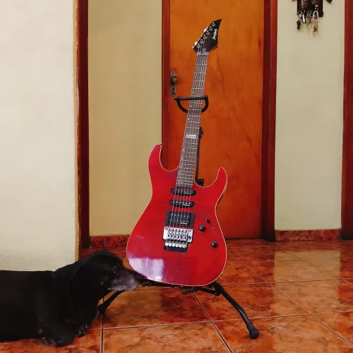 Guitarra seminova