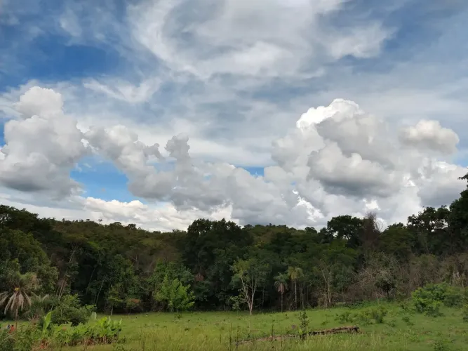 Vendo ou troco chácara à 15 km de Brazlândia