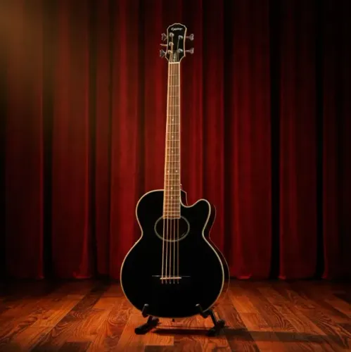Baixolão Epiphone/Gibson El Capitain - Troco