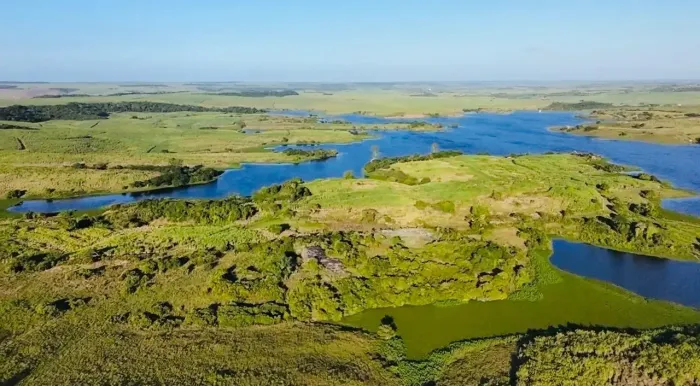 FAZENDA EM SAPÉ COM 54 HECTARES Sapé - PB