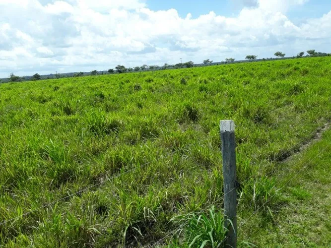 R$ 17 milhões fazenda 1400 hectares à 180 km de Belém-PA