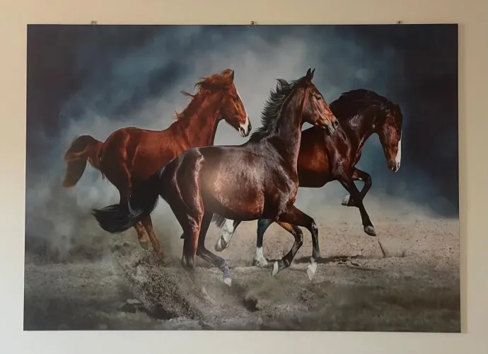 VENDO BELESSIMO QUADRO ENORME PREÇO ÚNICO