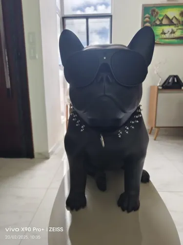 AeroBull HD1 Caixa de som sem fio Design "BullDog" - 200W