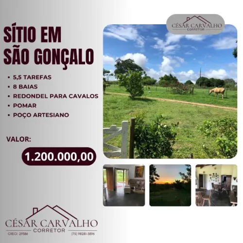 SÍTIO EM SÃO GONÇALO -  5,5 TAREFAS