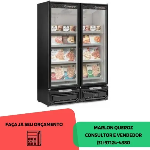 Freezer 2 Portas Gelopar 127-220v