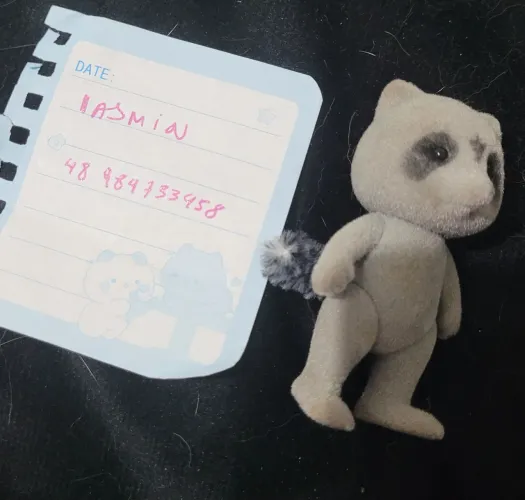 Guaxinim Vintage Sylvanian Families