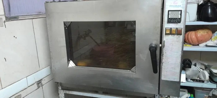 Forno Industrial Progas