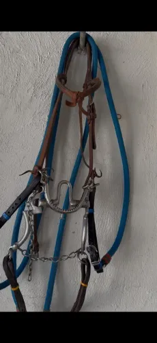 Arreios de cabeça conjugado