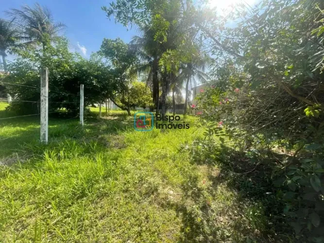 Terreno à venda, 600 m²- Bosque dos Ipês - Americana/SP