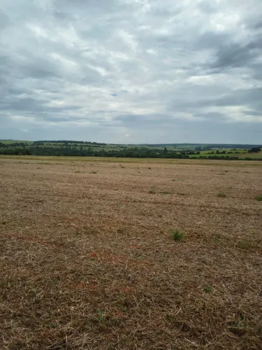 Fazenda