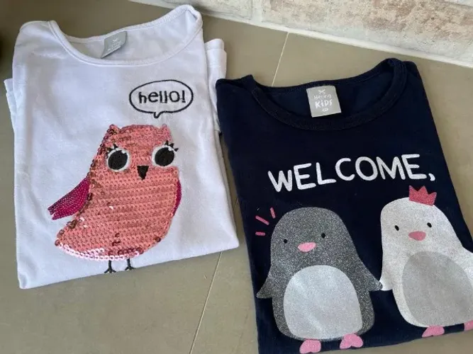 Duas camisetas infantis Hering manga longa