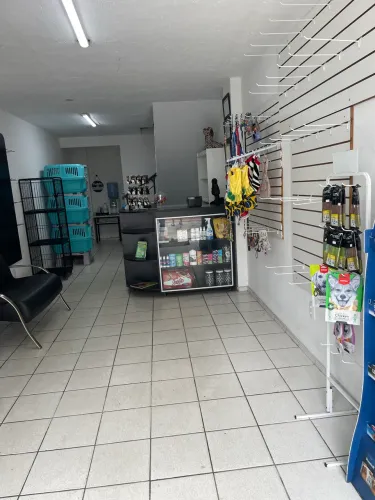Petshop