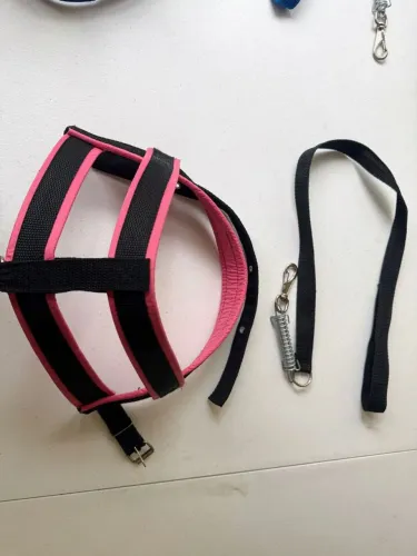 Peitoral para cães 