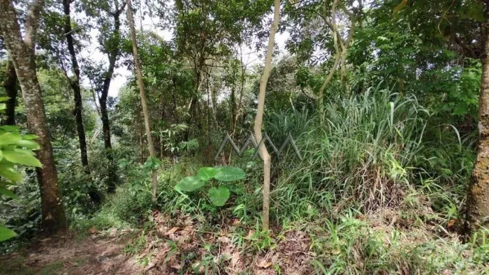 Lote à Venda no Condomínio Bosque do Jambreiro