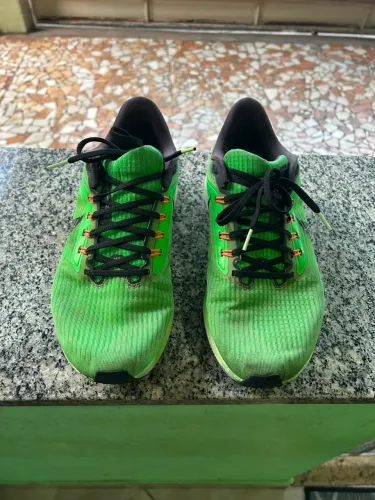 Tênis Nike Pegasus