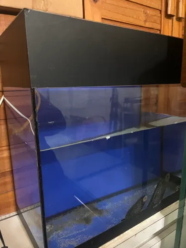 Aquário com tarja preta e fundo azul 25L 45x22x45