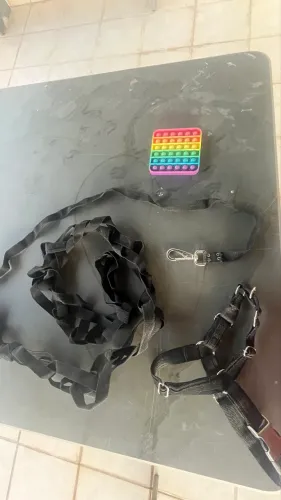 Guia longa de 10 metros e peitoral anti puxão M/G