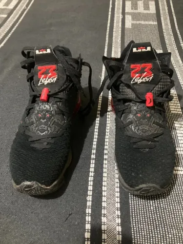 Nike Lebron 17 Infrared 42