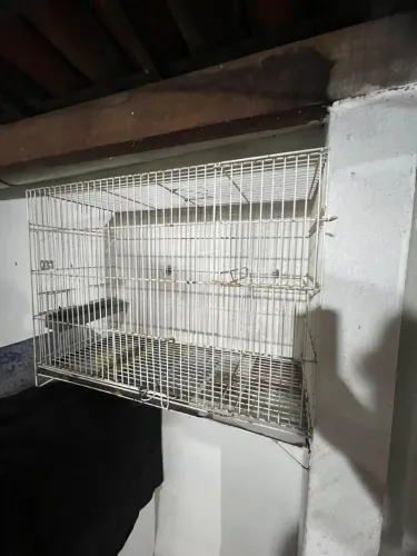 Vendo Gaiola de reprodução 