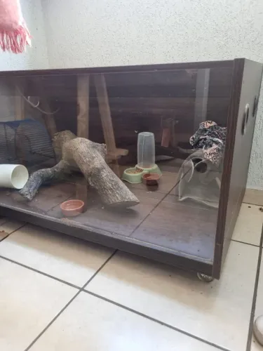 Terrario para pets, cobras, hamster, chinchila,ouriço