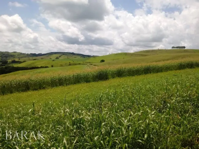 Fazenda à venda, 798600 m² por R$ 7.000.000,00 - Zona Rural - Palmital/PR