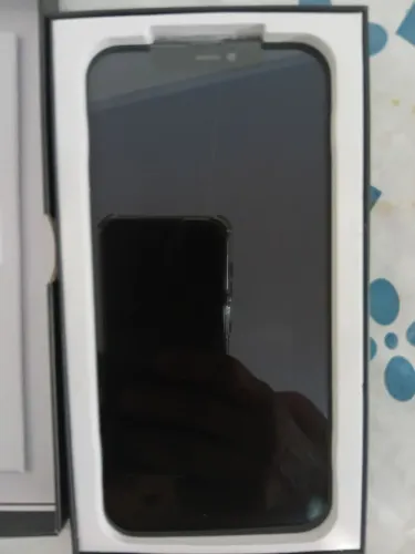 Display iPhone 12 promax