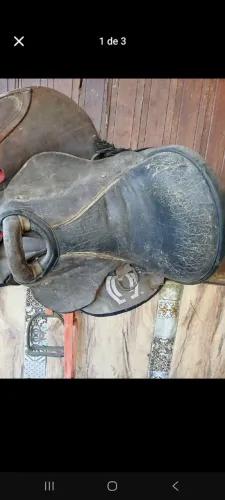 Sela de cavalo