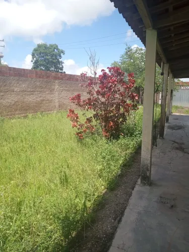 Chácara em Olivença 
