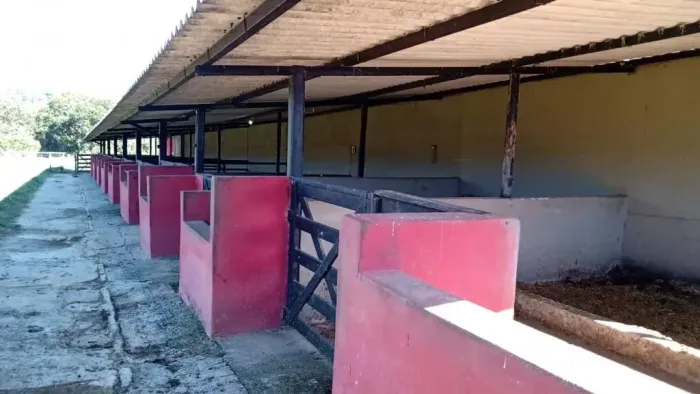 Linda fazenda em Paraopeba!